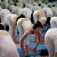 Chinese perform yoga at a hotel banquet hall to mark the International Yoga Day, in Changping District, on the outskirts of Beijing, China, Sunday, June 21, 2015. Yoga enthusiasts bent and twisted their bodies in complex postures across India and much of the world on Sunday to mark the first International Yoga Day.
